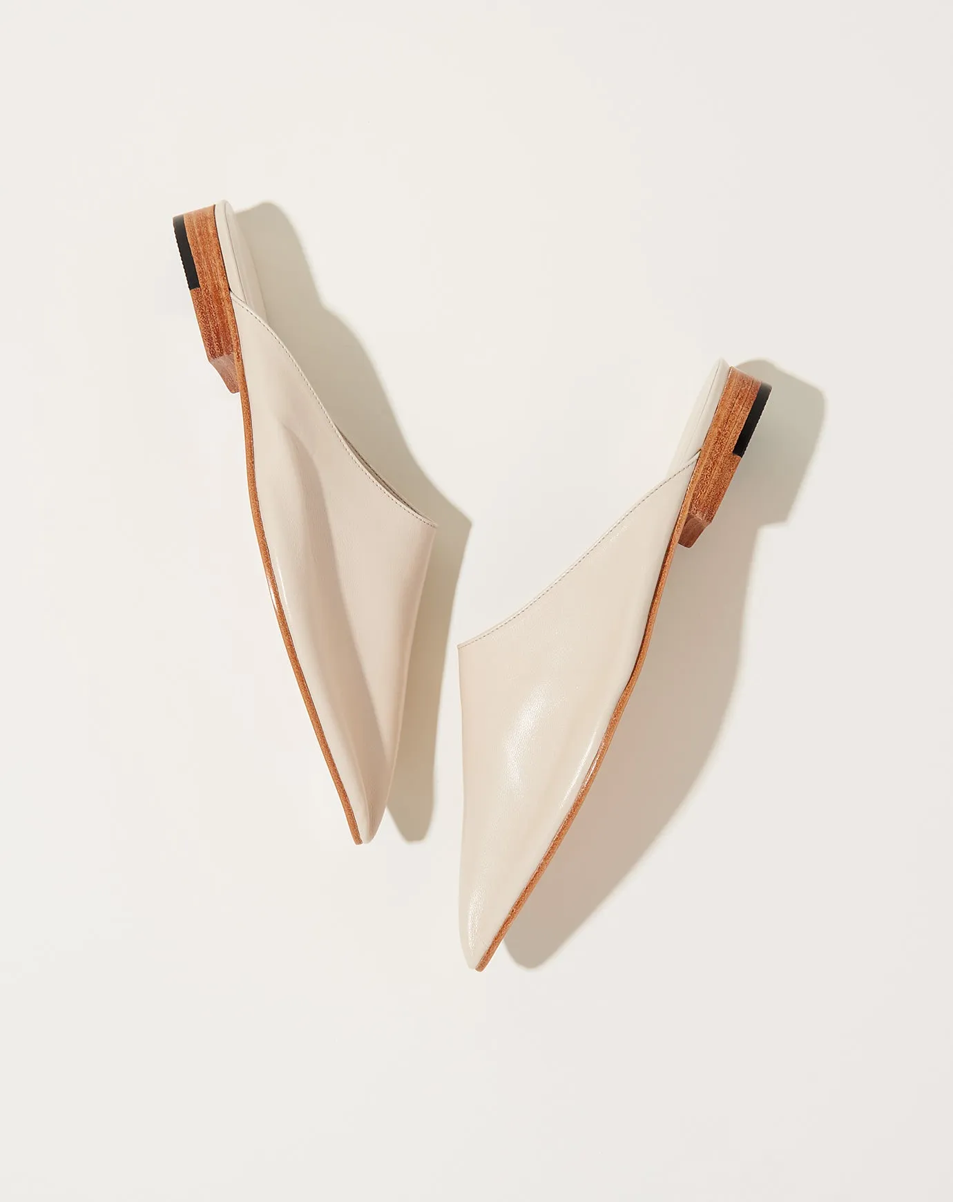 Babu in Ivory